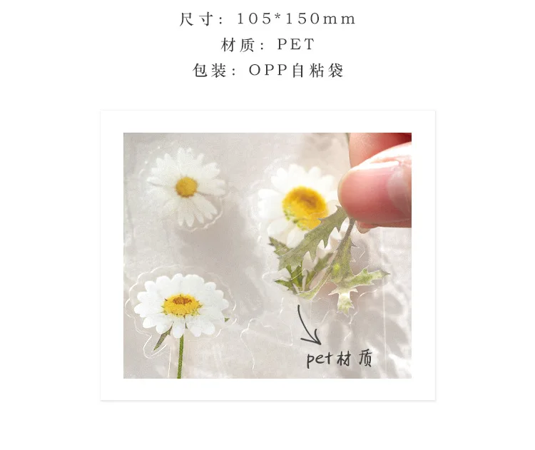 6 Dizaino, Natūralios Daisy Dobilų Japonijos Žodžiai Lipdukai Skaidrus PET, Medžiagos, Gėlės, Lapai, Augalai, Dekoratyviniai Lipdukai